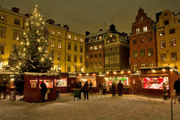Guided tours in Stockholm - Routes North