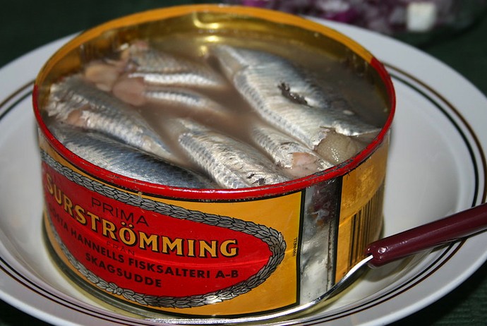 Surströmming' – the rotten herring that Swedes love