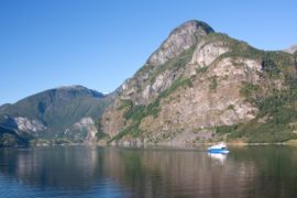 half day fjord cruise bergen