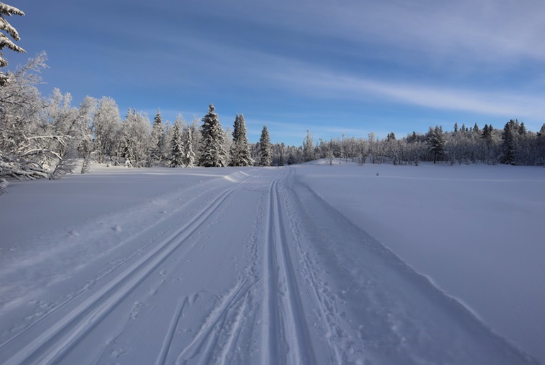 Discover the best resorts in Norway for cross-country skiing