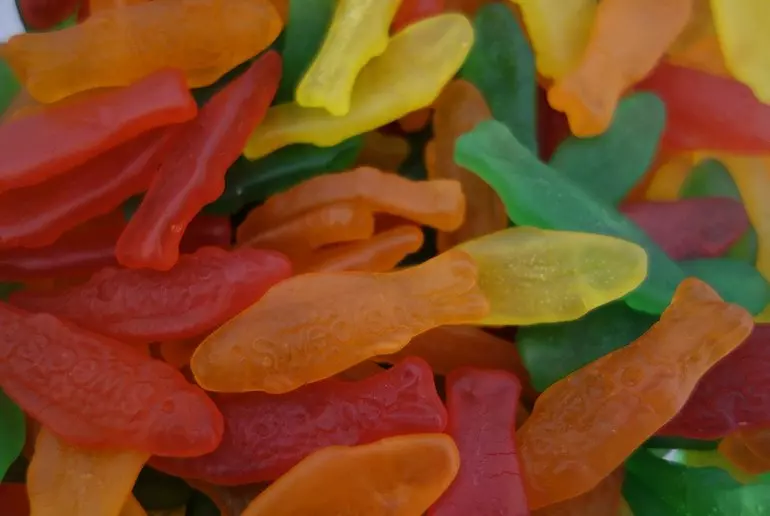 All you need to know about Swedish Fish (the fruity kind) - Routes North