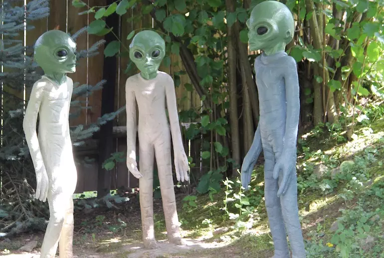 real types of aliens
