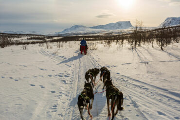 north norway tour