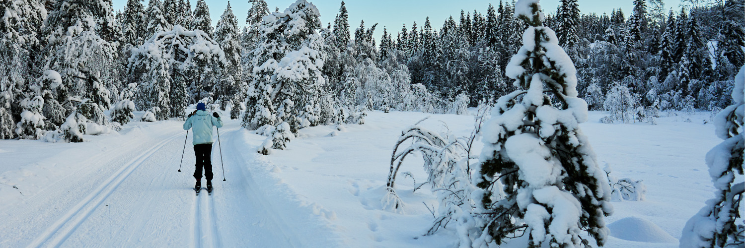 Alpine skiing in Sweden